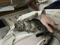 IMG_8560.jpeg