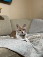 IMG_2062.jpeg