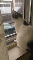 31799c02-58ce-472e-a36b-6aabc5d71f16.jpeg