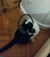 IMG_7361.jpeg